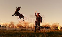 Umut olmak için hep hazır kıtalar!