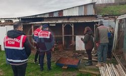 Kaçak yaban hayvanı operasyonu!