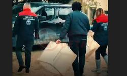 Bahar öncesi kokarca mesaisi