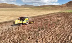 Artan afetler tarımı zorluyor!