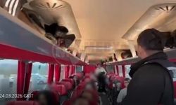 70 düzensiz göçmen yakalandı