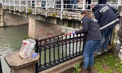 Hendek’te Uludere Çayı’nda toplu balık ölümleri