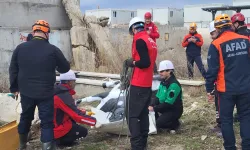 AFAD'dan uluslararası iş birliğiyle hayvan koruma projesi...