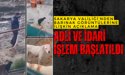 Barınak görüntüleri için Sakarya Valiliği düğmeye bastı!