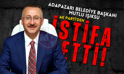 Mutlu Işıksu AK Parti'den istifa etti