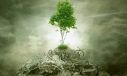 ÇED 'gerekli değil' kararı kaldırıldı!