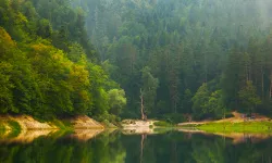 Doğa Koruma ve Milli Parklar'da yeni dönem