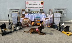 Geyve ve Karasu’da kaçakçılık operasyonu