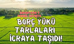 Sakarya’da 4 parsel satışta