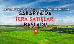 Arsalar, evler ve fındıklıklar yeni sahiplerini bekliyor!