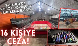 Sapanca’da horoz dövüşüne jandarma baskını