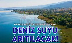 Sapanca Gölü’nü kurtaracak proje