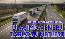 2024 verileri dikkat çekti