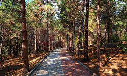 Sakarya’da Bahar Koşusu heyecanı!