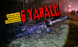 Sakarya'dan Düzce'ye gidiyorlardı kanala uçtular: 6 yaralı!