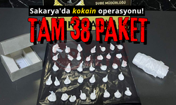 Sakarya'da kokain operasyonu: 1 tutuklama