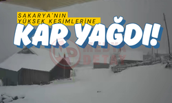 Sakarya'nın yüksek kesimlerine kar yağdı!