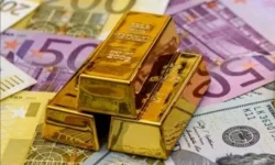 Şubat'ta döviz kaybettirdi!