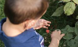 Büyükşehir’den tarım atölyesi
