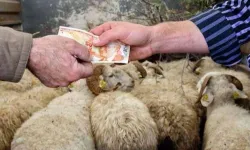 2026 Yılı Kurban Hizmetleri Tebliği 'Resmi'leşti..