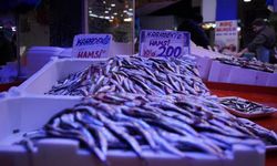 Sakarya'da sezonun son balıkları vatandaşla buluşuyor