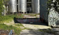 Süt mağdurlarının 10 yıllık alacak nöbeti