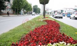 Şehir estetiği için iki ihale birden!