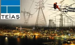 Elektrik piyasasında yan hizmetlerde yetki TEİAŞ'a devredildi
