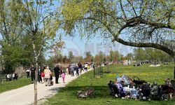Gölya Tabiat Parkı'nda hafta sonu yoğunluğu
