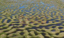 Saklı cennet Karagöl Yaylası’nda doğa şöleni