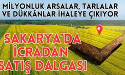 Milyonluk arsalar, tarlalar ve dükkânlar ihaleye çıkıyor