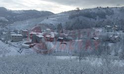 Sakarya'nın yüksek kesimlerine kar yağdı!