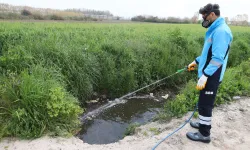Ekipler zararlı vektörle mücadeleyi sürdürüyor