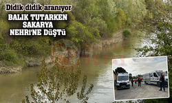 Balık tutarken Sakarya Nehri'ne düştü!