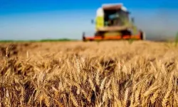 Tarım ve Orman Bakanlığı'ndan 30 milyon TL'ye kadar hibe!