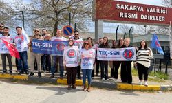 Eğitimde şiddet alarmı