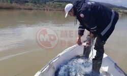 Sakarya Nehri’ne kaçak avcılık darbesi