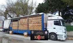 8 milyon kaçak makaron ele geçirildi