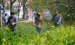 Serdivan’da bahar temizliği sahada