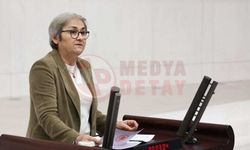 Sakarya’da intihar ve iş cinayetleri alarmı!