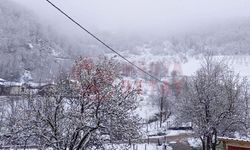 Baharı beklerken kış geldi