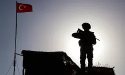Bu yıl 3 bine yakın kişi sınırı geçemeden yakalandı!