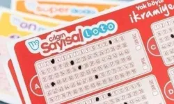 Çılgın Sayısal Loto Sakarya'ya isabet etti