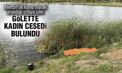 Mersin'de kayıp olan genç kız, Sakarya'da ölü bulundu