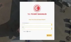 Havayolu Beyan Sistemi devrede...