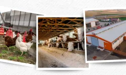 IPARD III sonuçları açıklandı 218 projeye 2,5 milyar TL hibe