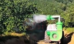 Kocaali ve Karasu’da kahverengi kokarca ile mücadele!