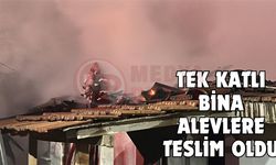 Tek katlı bina alevlere teslim oldu