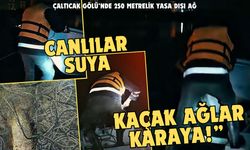 Çaltıcak Gölü’nde 250 metrelik yasa dışı ağlara müdahale edildi
