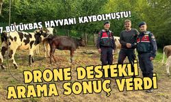 Drone destekli arama sonuç verdi